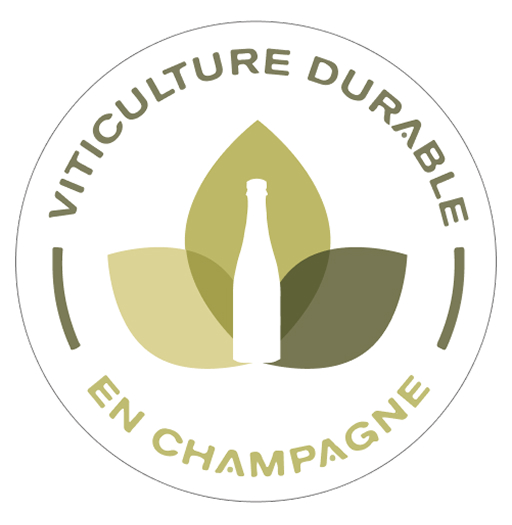 Certification Viticulture durable en Champagne